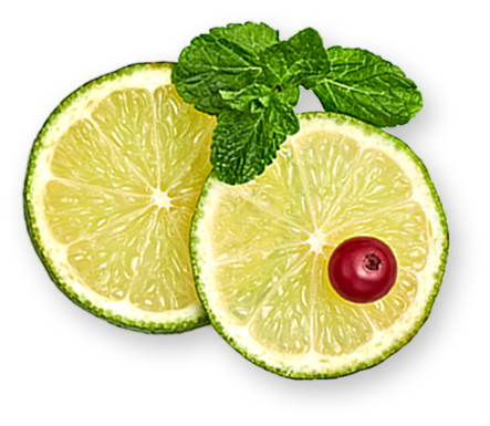Lemon Decor