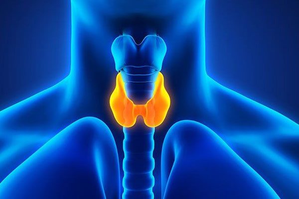 Hypothyroidism & PCOS / PCOD